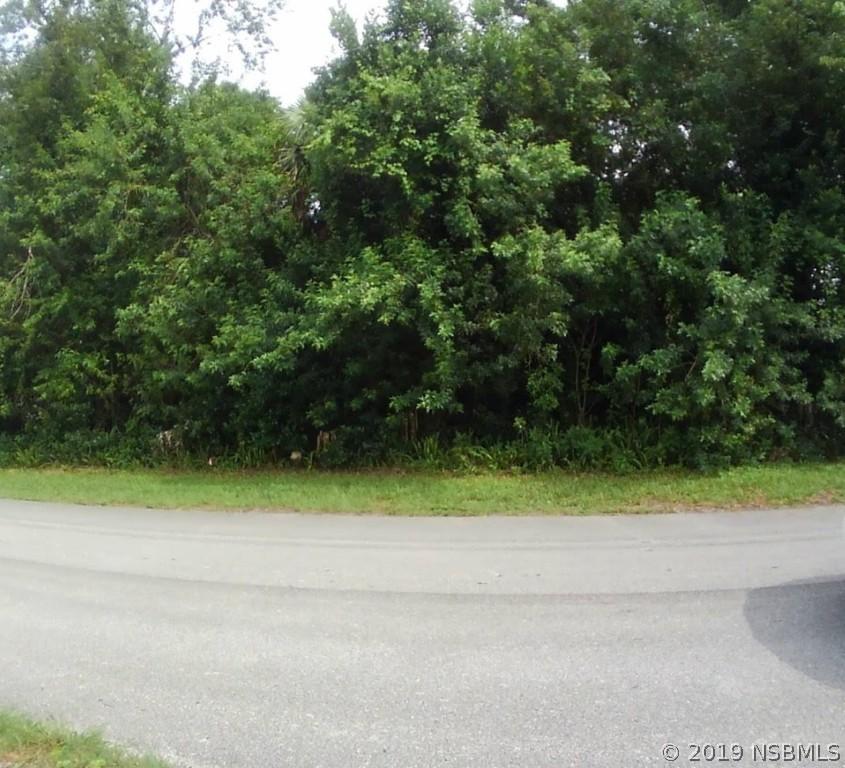 Azalea Rd., Edgewater, FL 32141