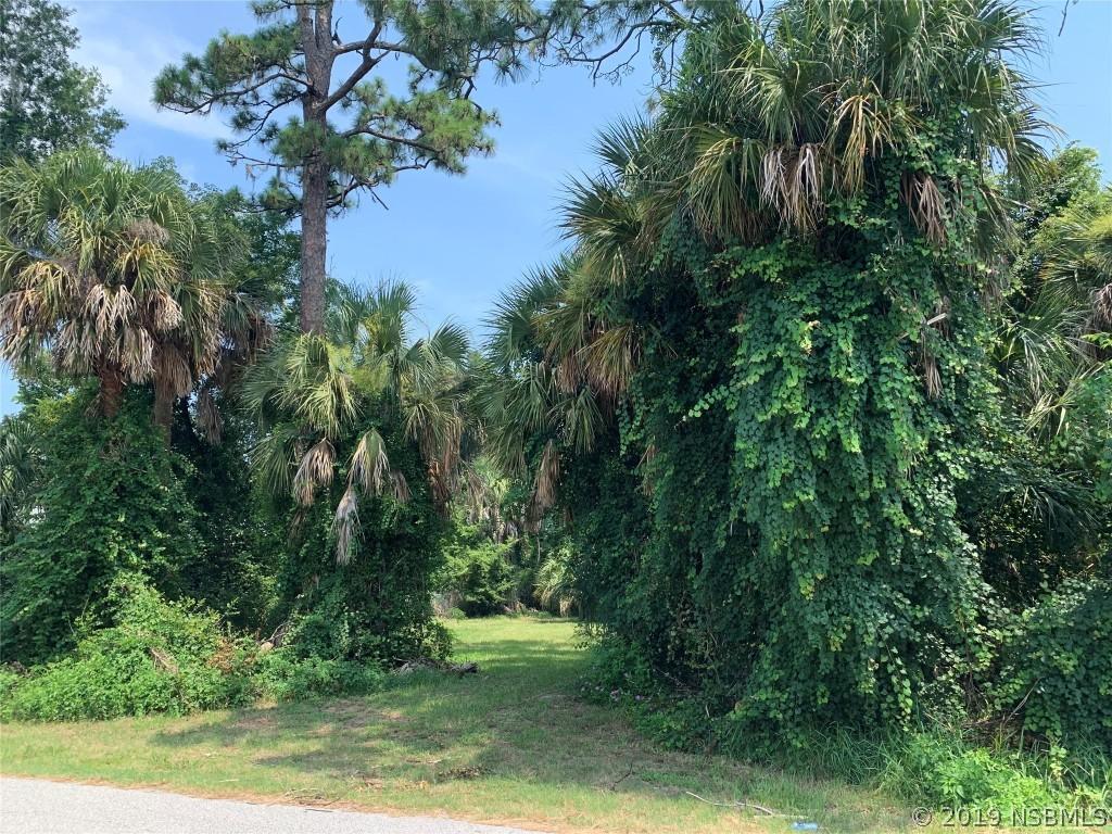 [Address Hidden by Seller], Edgewater, FL 32141