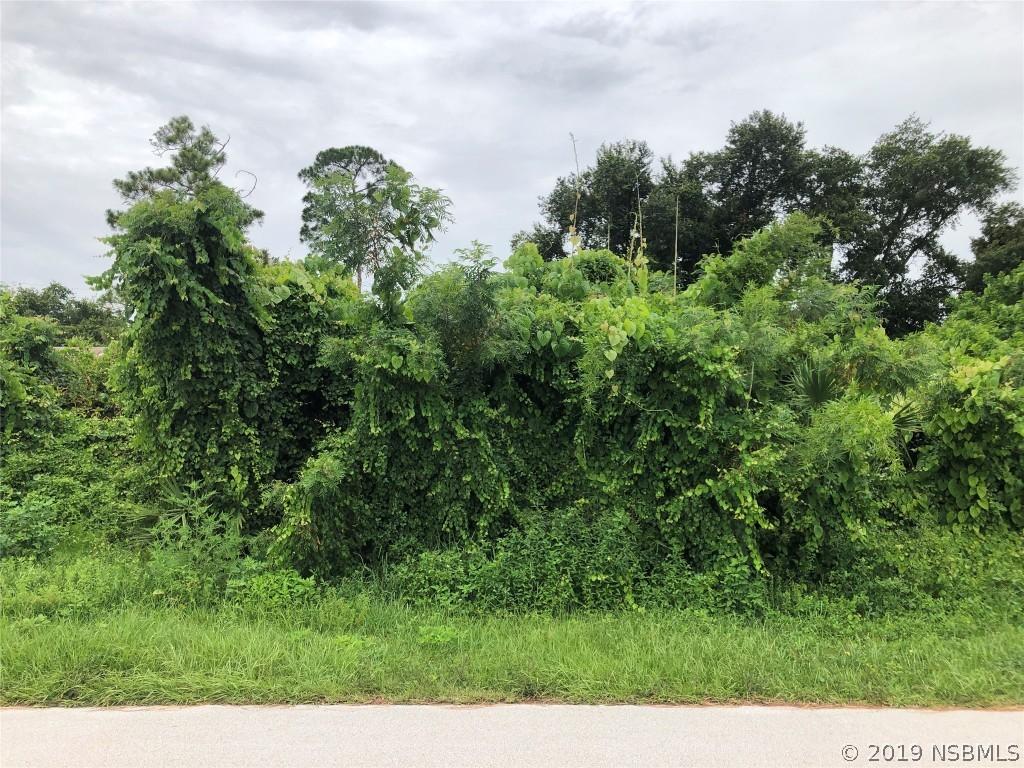 2422 Travelers Palm Dr., Edgewater, FL 32141