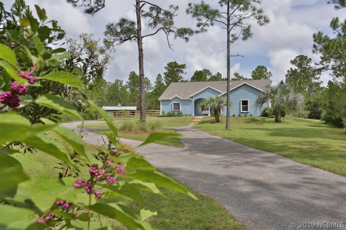 381 Ropers Way, New Smyrna Beach, FL 32168