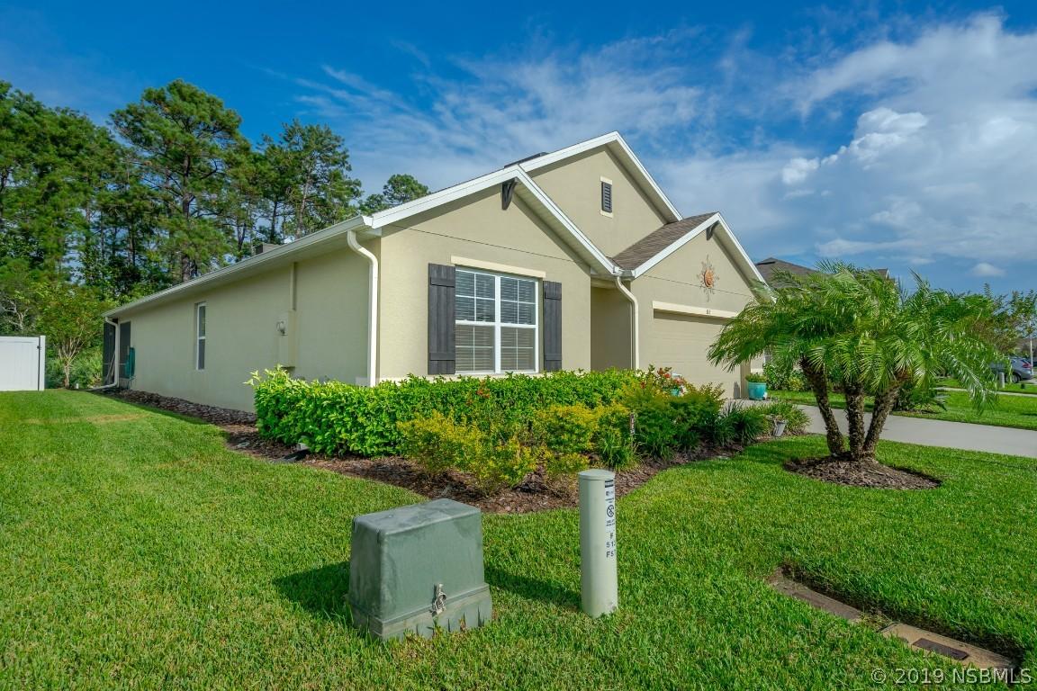 513 White Coral Ln., New Smyrna Beach, FL 32168