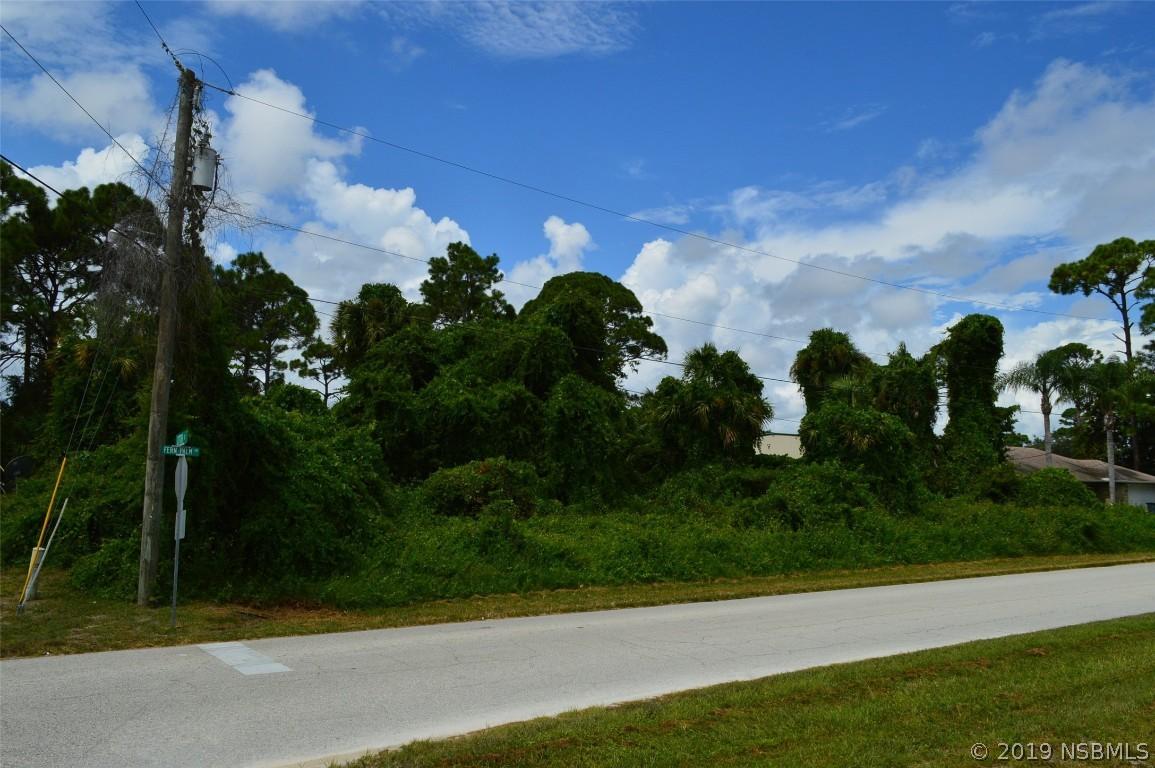 Fern Palm Dr., Edgewater, FL 32141