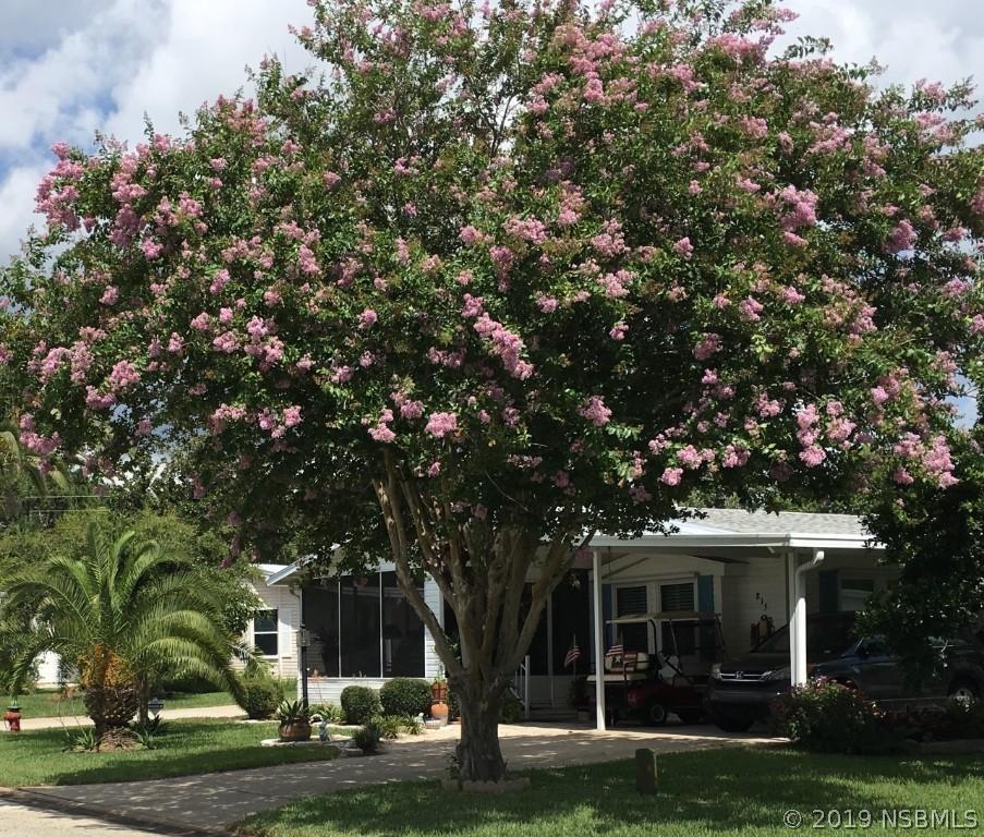 815 Masthead Ln., Edgewater, FL 32141