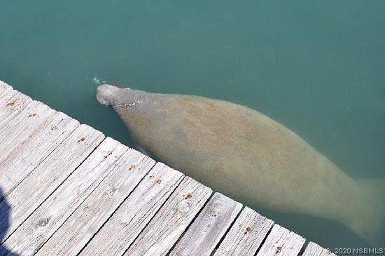 293 Randle Ave., Oak Hill, FL 32759