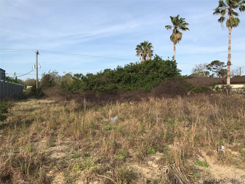 1910 Hibiscus Dr., Edgewater, FL 32141