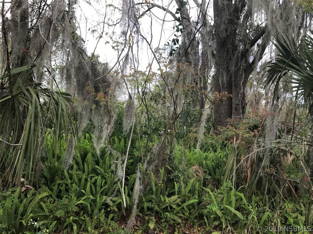 Woodland Dr., Edgewater, FL 32141