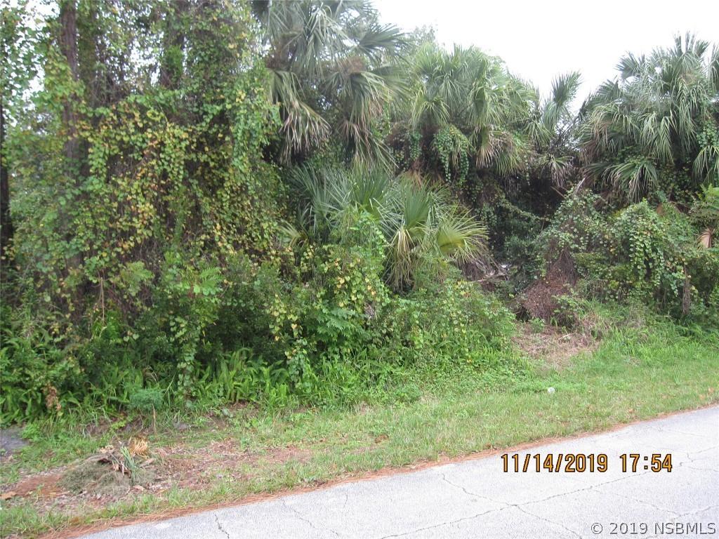 3021 Woodland Dr., Edgewater, FL 32141