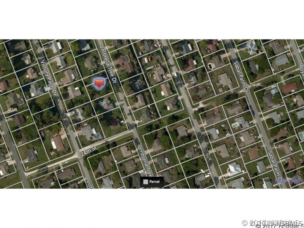 2322 Umbrella Tree Dr., Edgewater, FL 32141