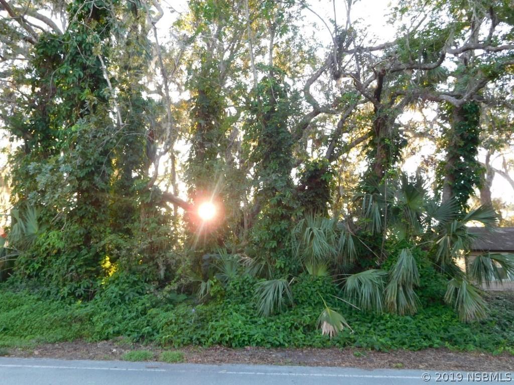 Needle Palm Dr., Edgewater, FL 32132