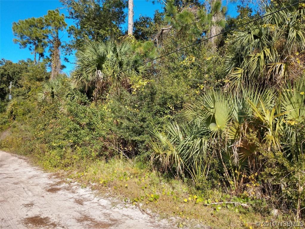 313 Carol Ann Dr., Edgewater, FL 32132