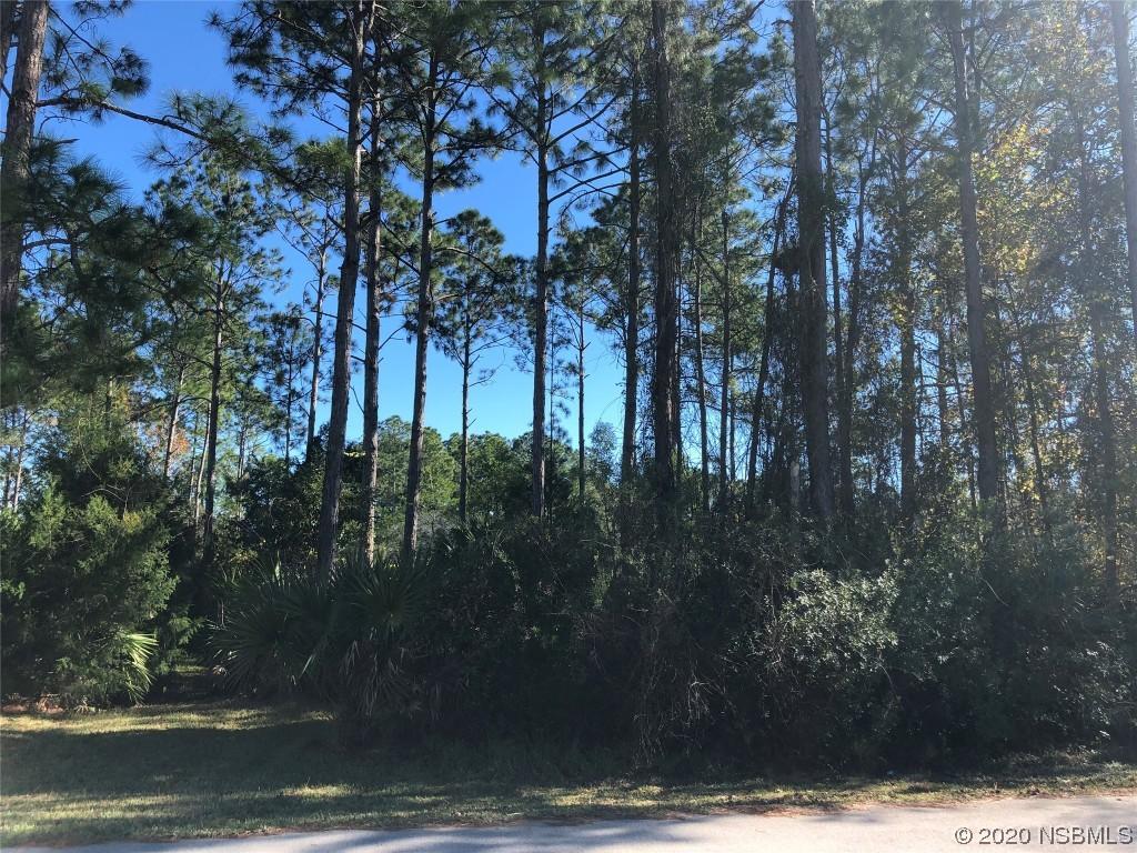 [Address Hidden by Seller], Palm Coast, FL 32137