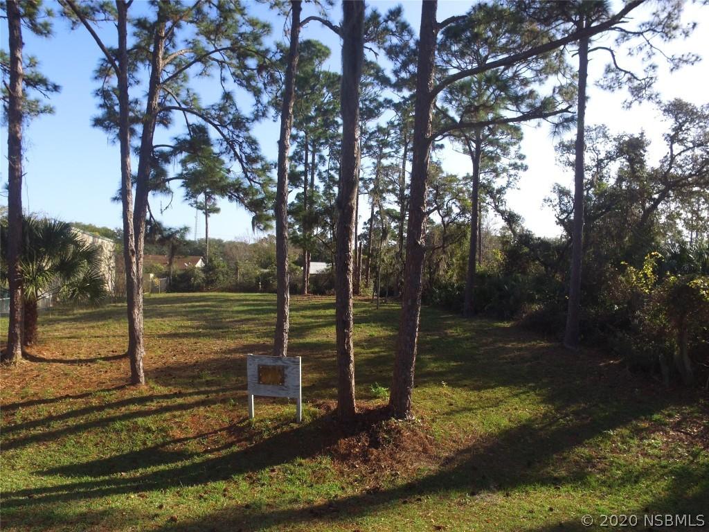 2743 Guava Dr., Edgewater, FL 32141