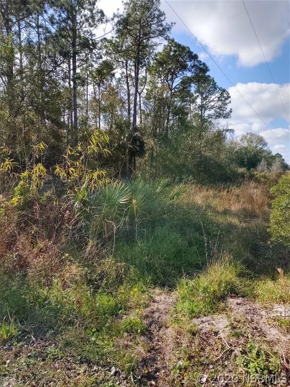 Pinedale Rd., Edgewater, FL 32132