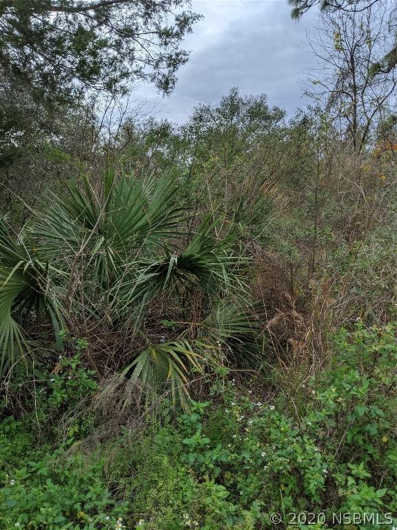 Walnut Ave., Orange City, FL 32763