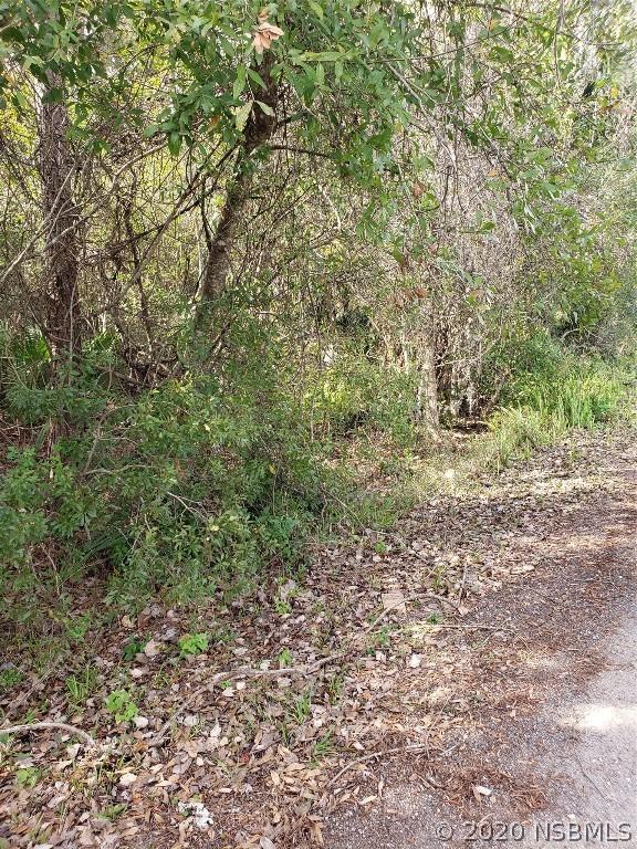 Pinedale Rd., Edgewater, FL 32132