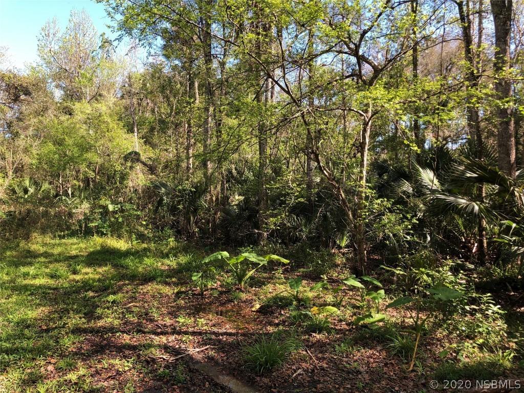 Doster Dr., New Smyrna Beach, FL 32168