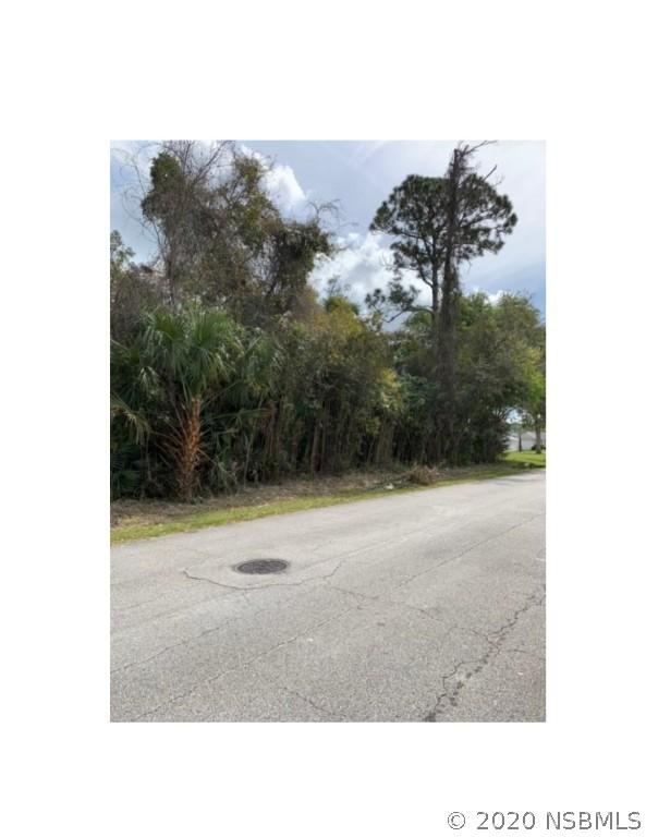Silver Palm Dr., Edgewater, FL 32141