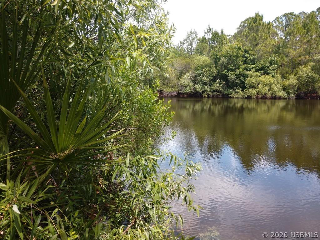 [Address Hidden by Seller], Oak Hill, FL 32759