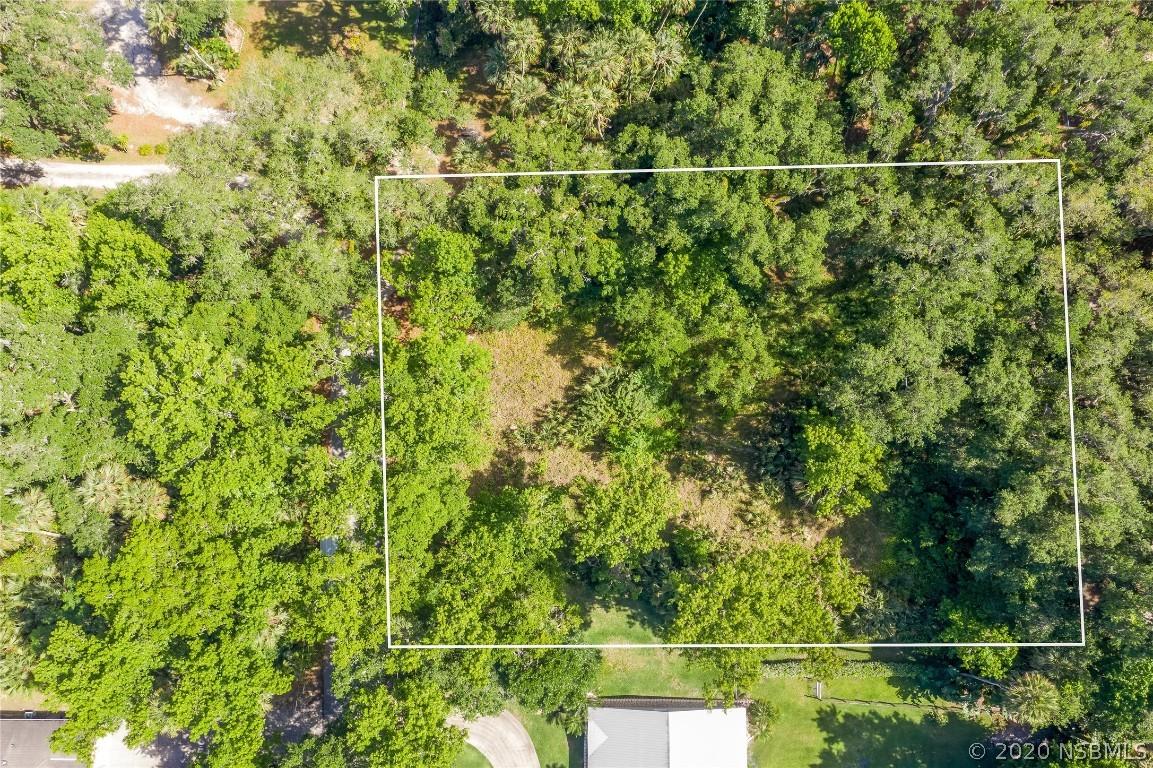 360 S Wild Orange Dr., New Smyrna Beach, FL 32168