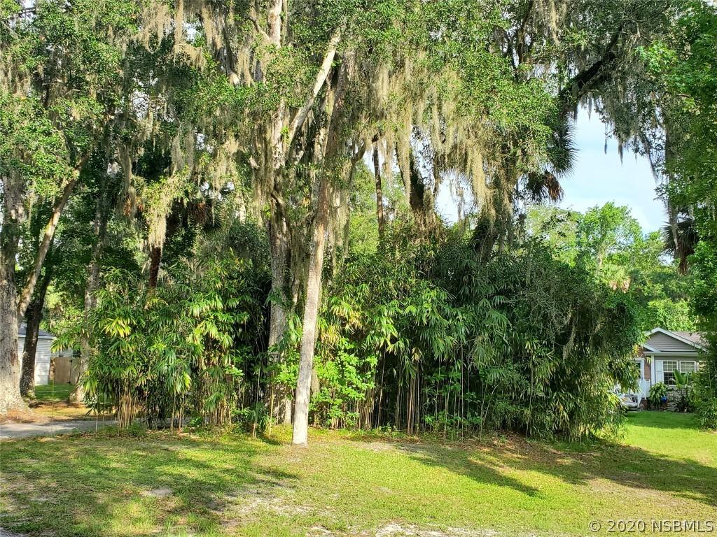 2096 Porto Blvd., New Smyrna Beach, FL 32168