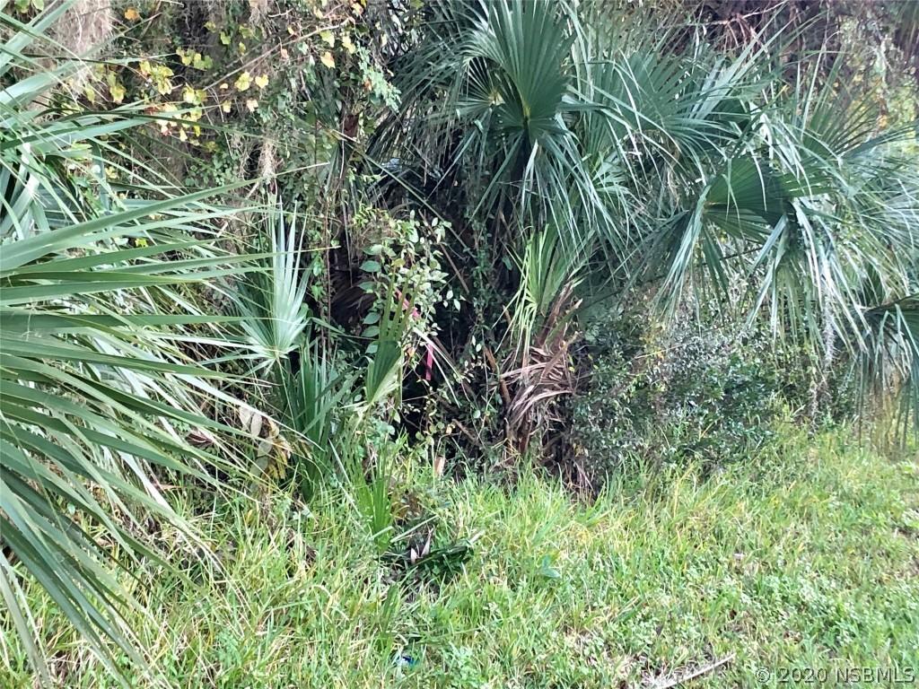 27, Edgewater, FL 32141