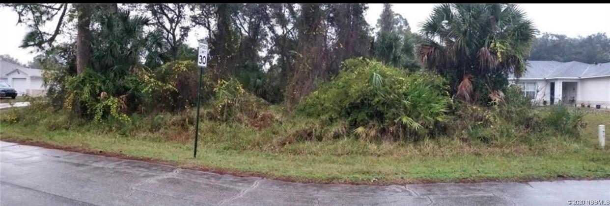 [Address Hidden by Seller], Edgewater, FL 32141