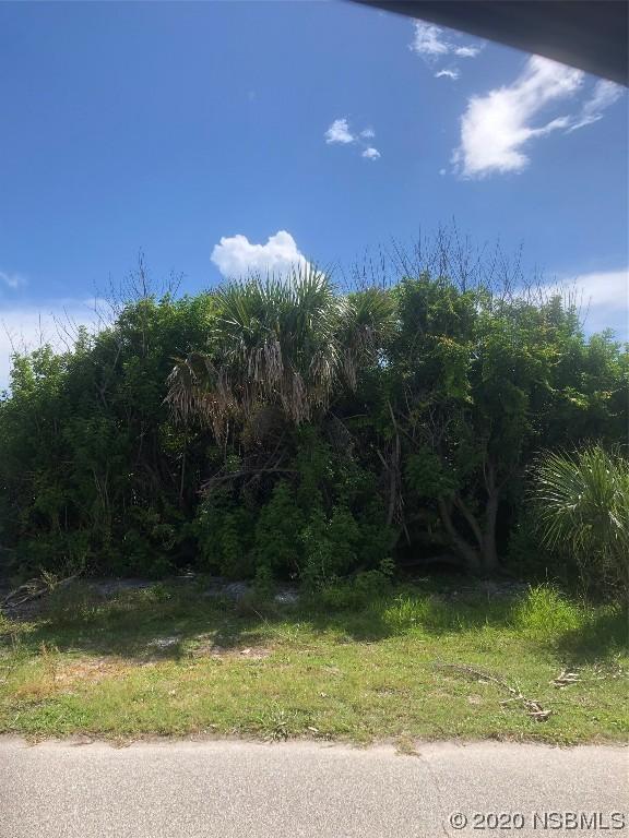 [Address Hidden by Seller], New Smyrna Beach, FL 32168