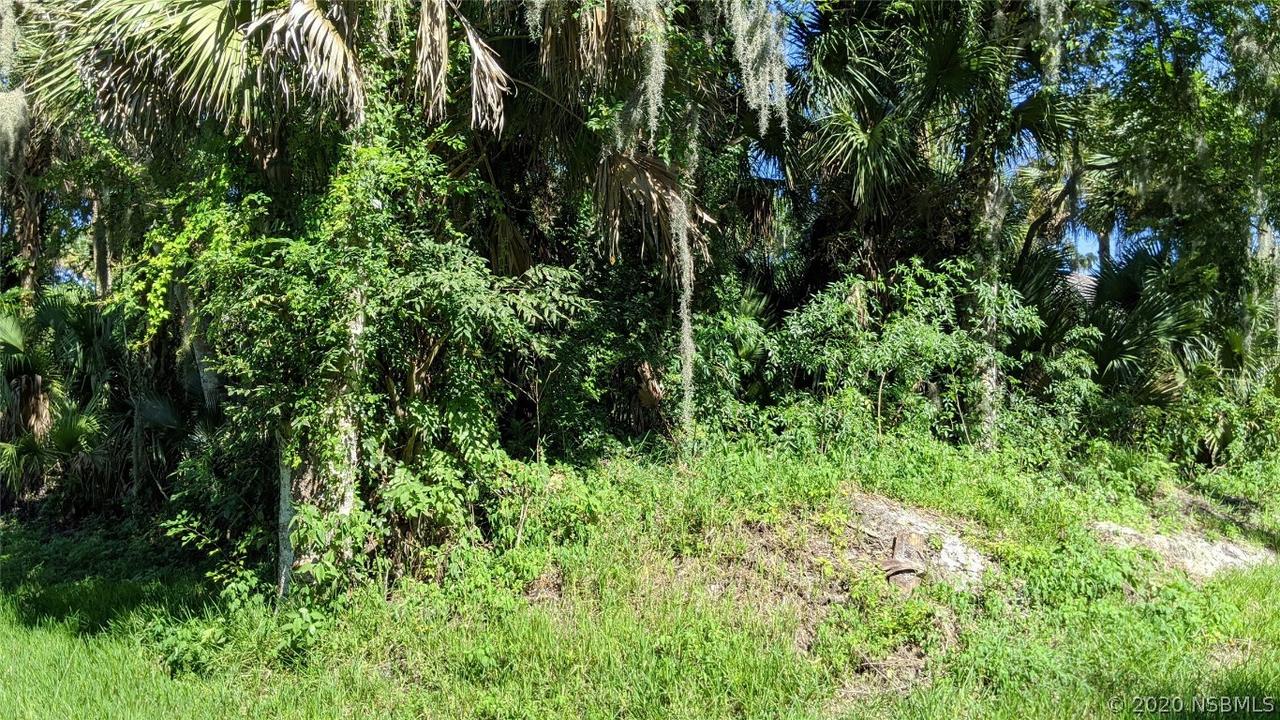 2506 Lime Tree Dr., Edgewater, FL 32141