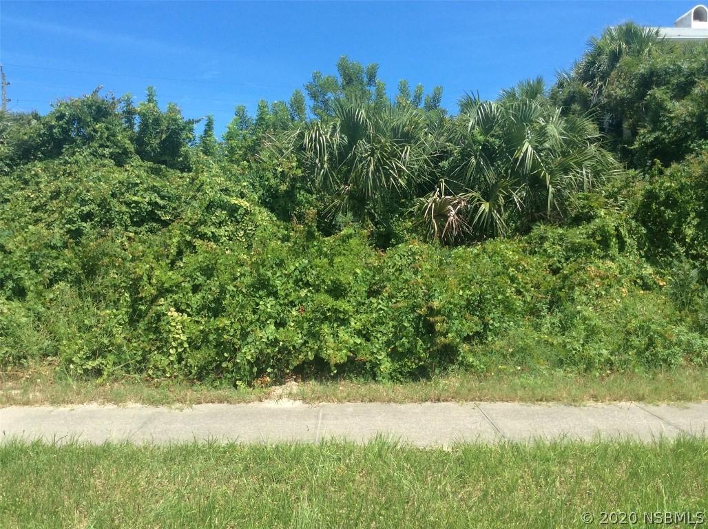 4603 S Atlantic Ave., New Smyrna Beach, FL 32169