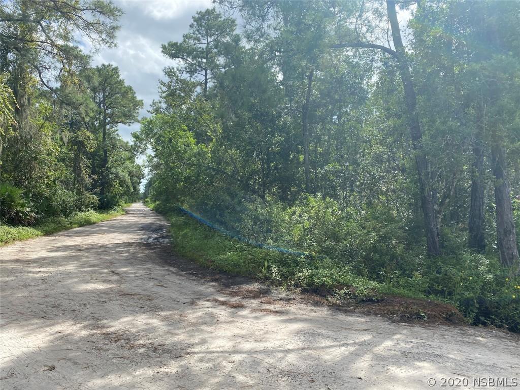 Brasher Rd., New Smyrna Beach, FL 32168