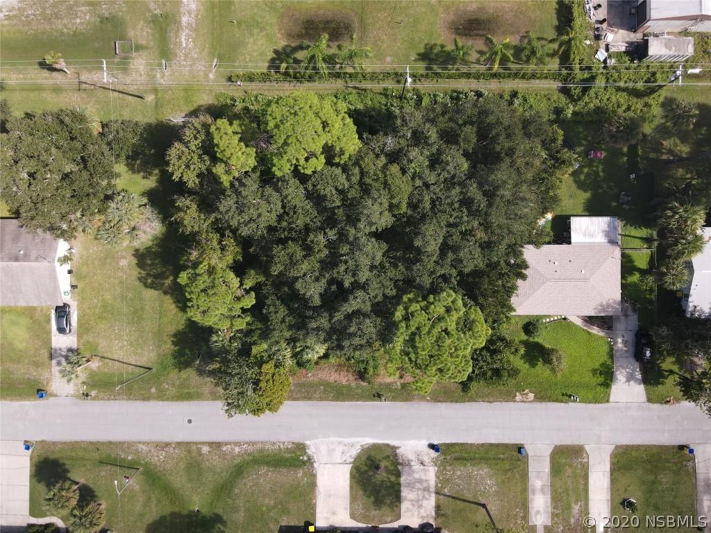 2303 India Palm Dr., Edgewater, FL 32141
