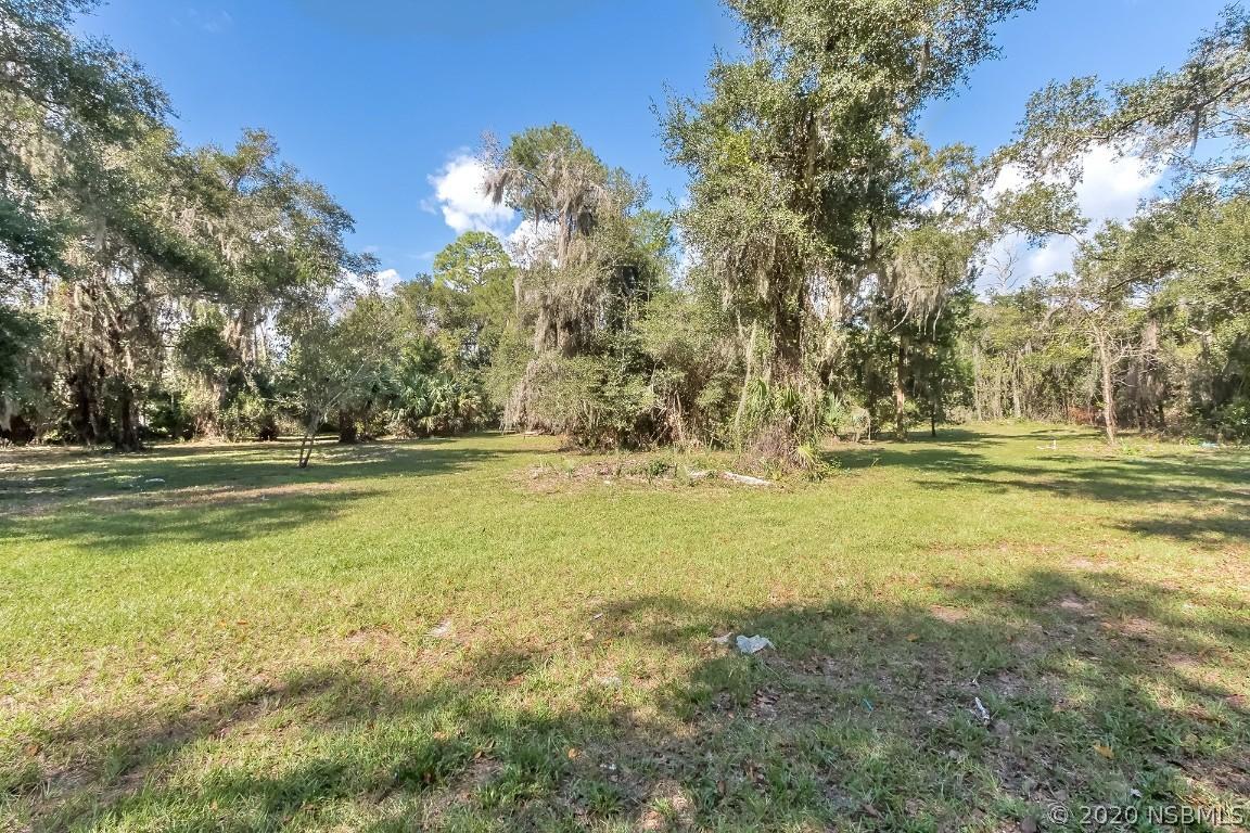 N Us Hwy 17, Seville, FL 32190