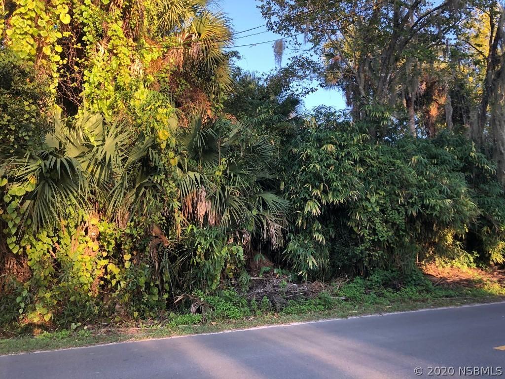 645 Corbin Park Rd., New Smyrna Beach, FL 32168