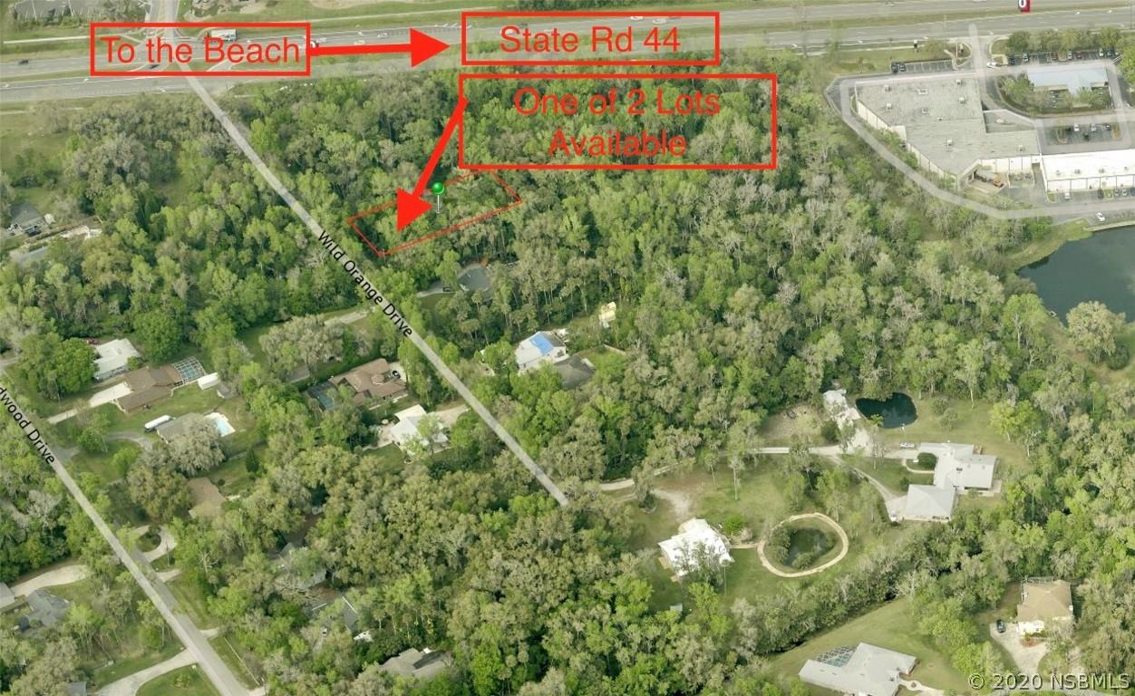 S Wild Orange Dr., New Smyrna Beach, FL 32168