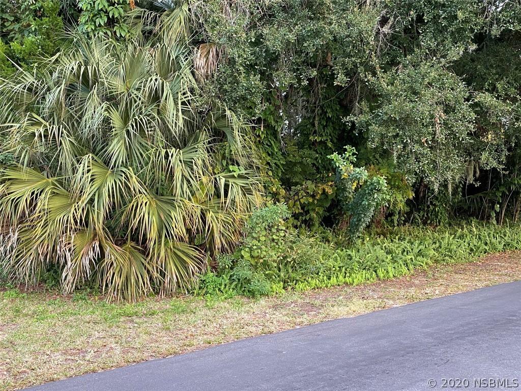 2003 Royal Palm Dr., Edgewater, FL 32141