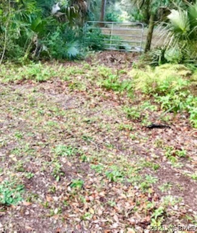 Maytown Road, Oak Hill, FL 32759