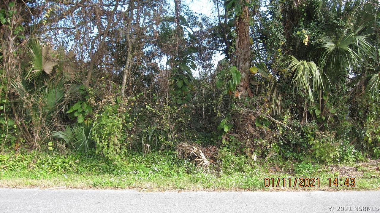 Yule Tree Dr., Edgewater, FL 32141