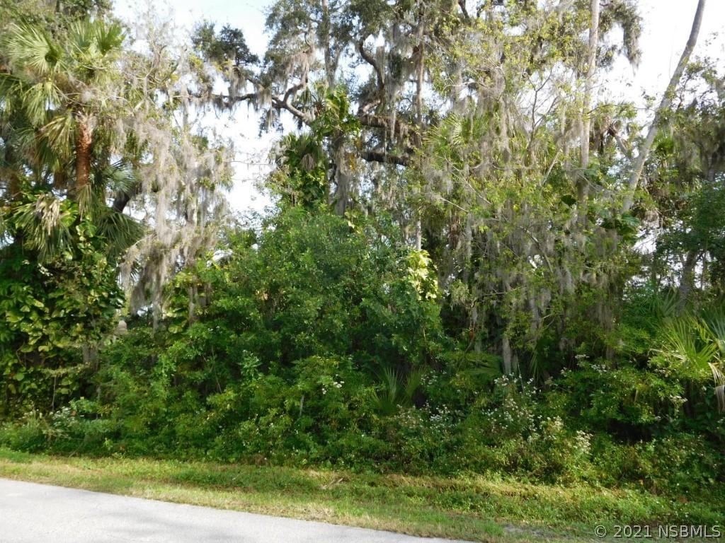 Lime Tree Dr., Edgewater, FL 32141