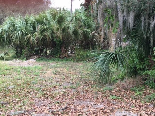 167 Azalea St., Edgewater, FL 32141