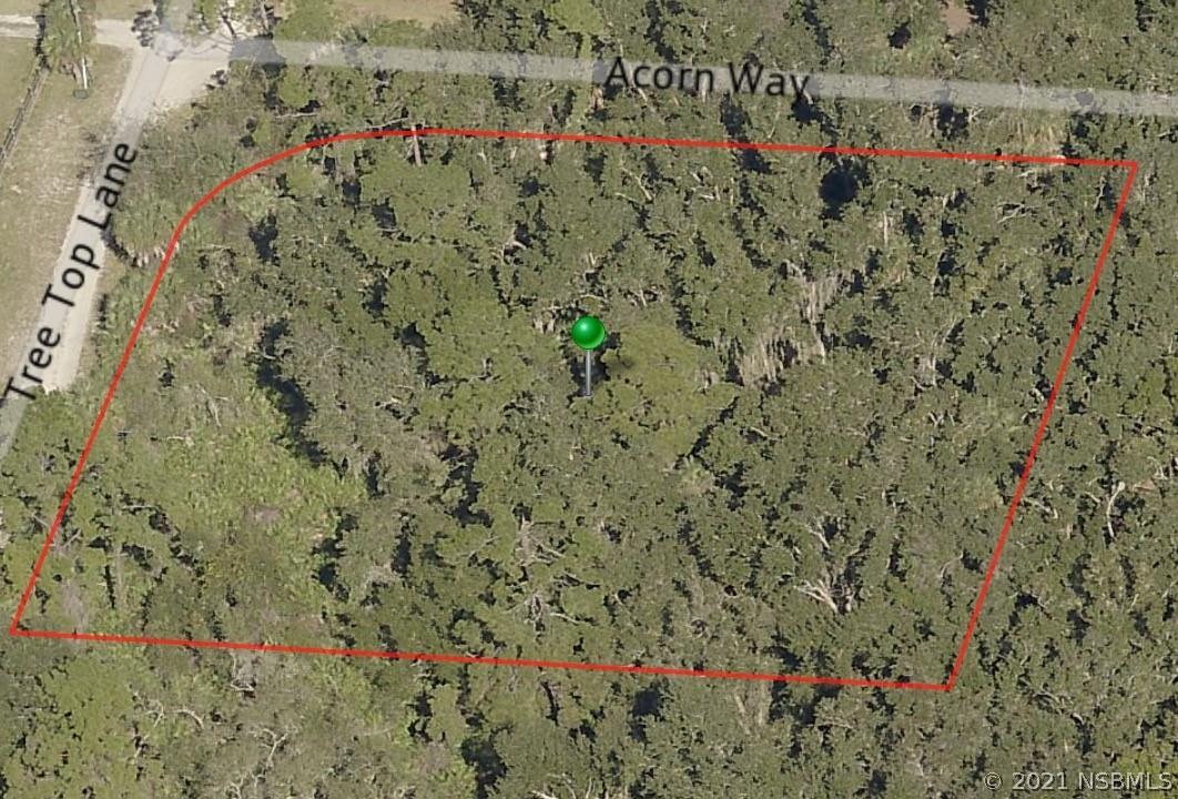 Tree Top Ln., Edgewater, FL 32141