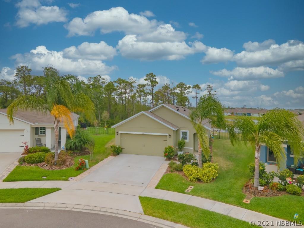 2929 Taton Trace, New Smyrna Beach, FL 32168