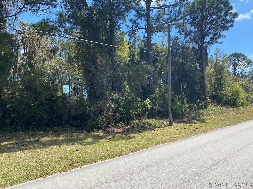 2500 Guava Dr., Edgewater, FL 32141