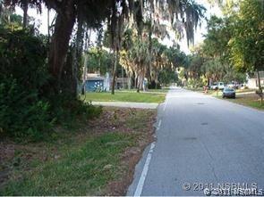 Needle Palm Dr., Edgewater, FL 32141