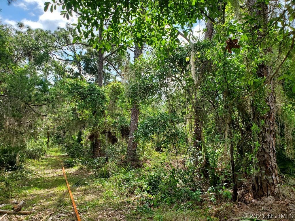 149 Osteen St., Oak Hill, FL 32759