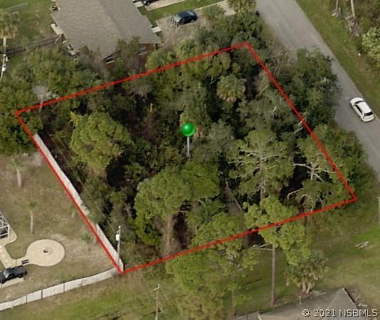 3230 India Palm Dr., Edgewater, FL 32141