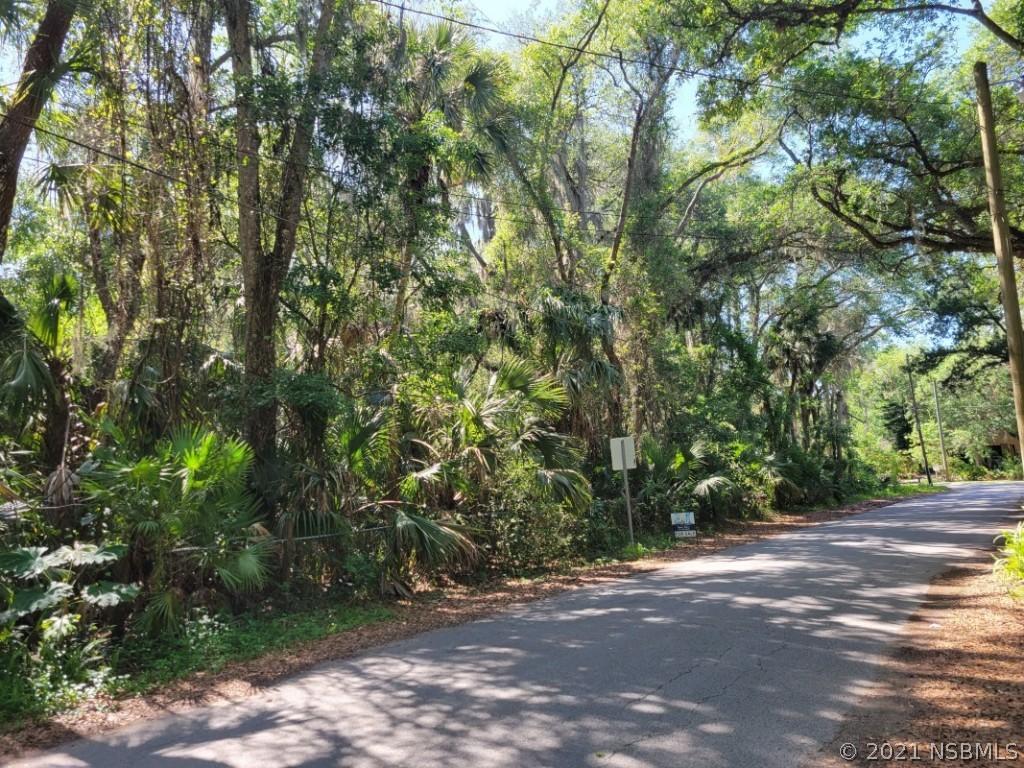 [Address Hidden by Seller], New Smyrna Beach, FL 32168