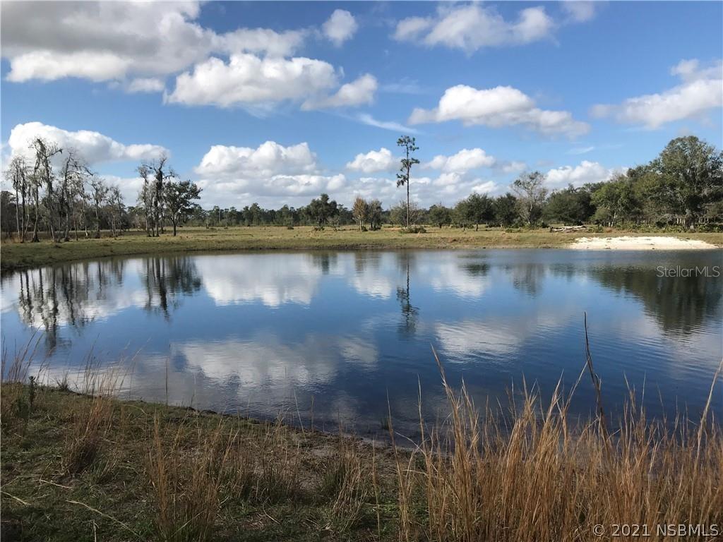 4590 Fanny Bass Rd., Out Of Area, FL 34772