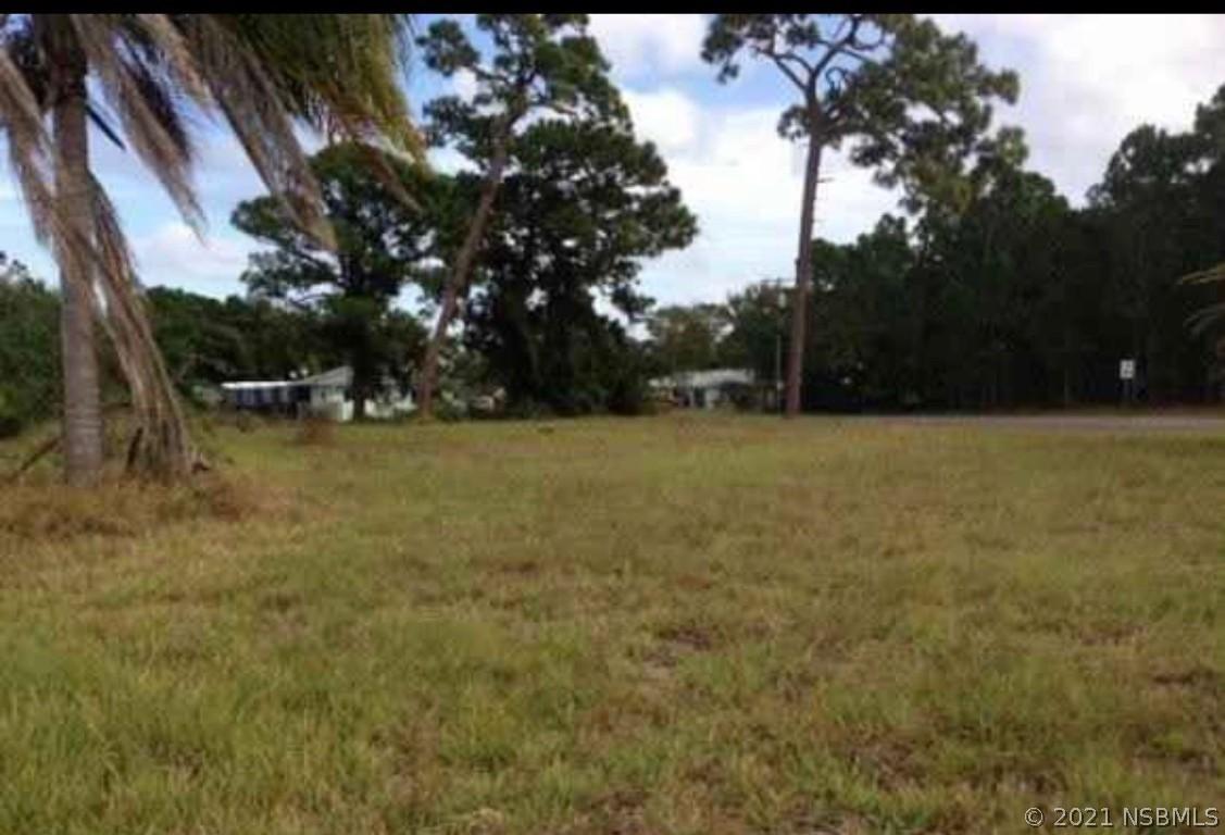 103 Palm Breeze Dr., Edgewater, FL 32141