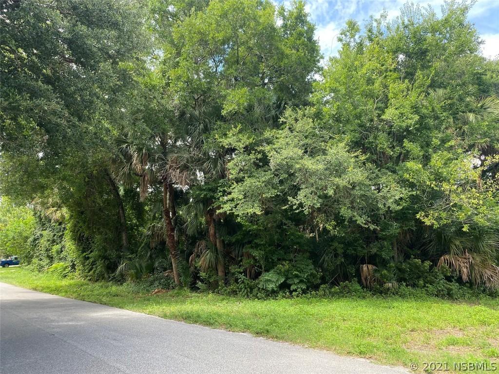 Sabal Palm Dr., Edgewater, FL 32141