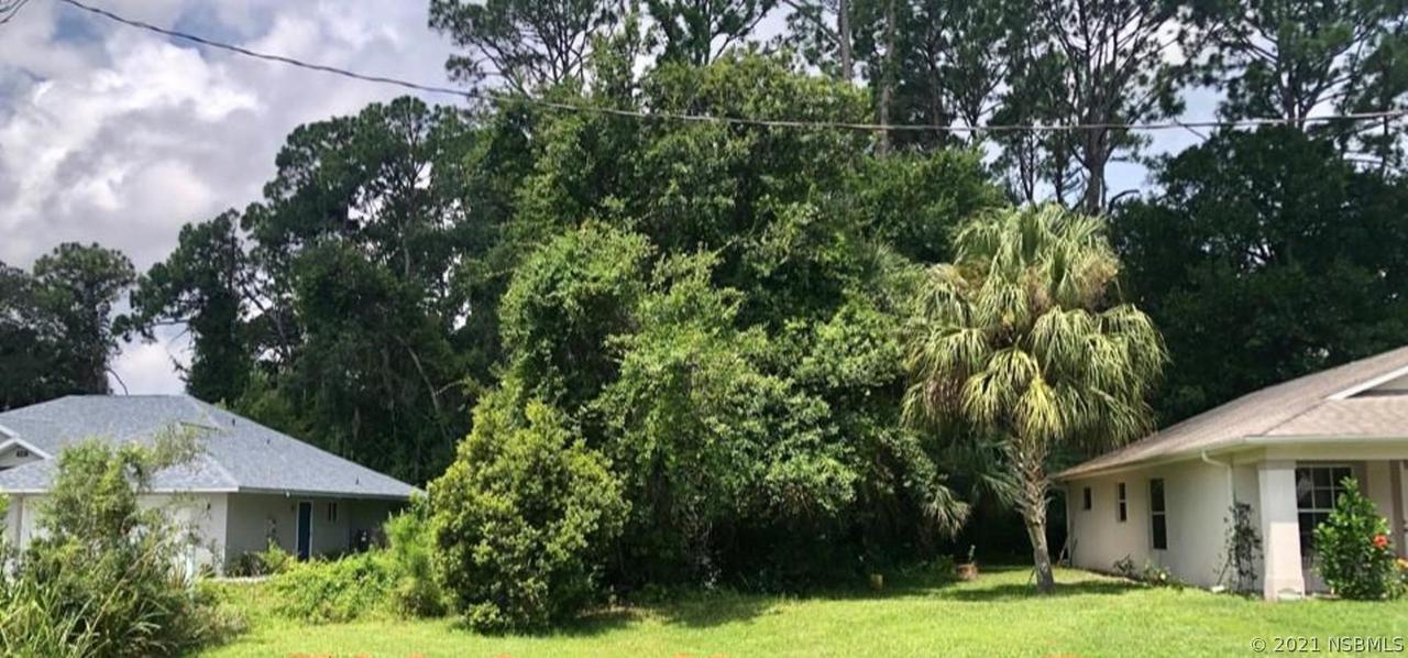 530 Old Mission Rd., New Smyrna Beach, FL 32168